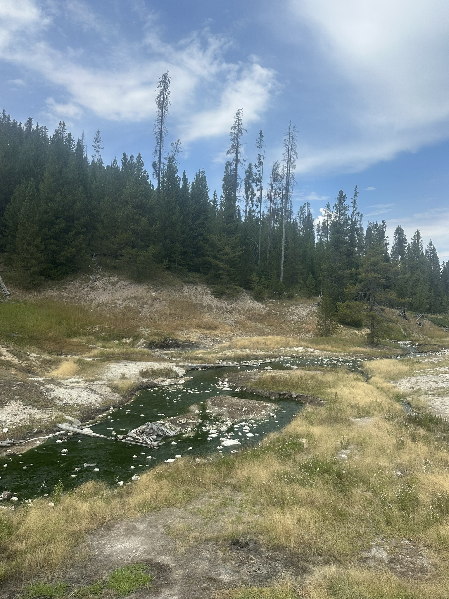 Yellowstone And Grand Teton National Parks - Image 664